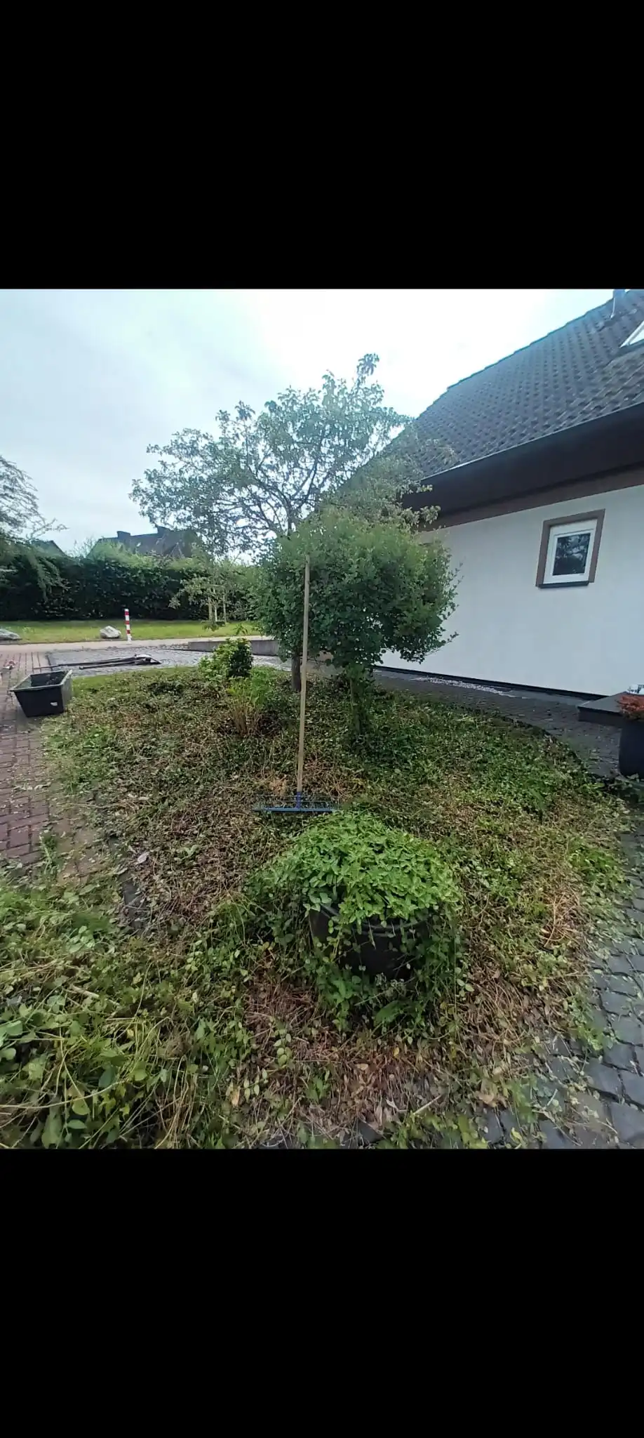 Beet nach der Pflege
